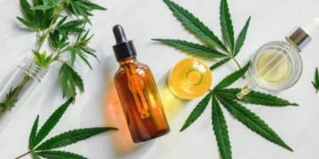 Entdecke die Vielfalt der CBD-Produkte für dein persönliches Wohlbefinden