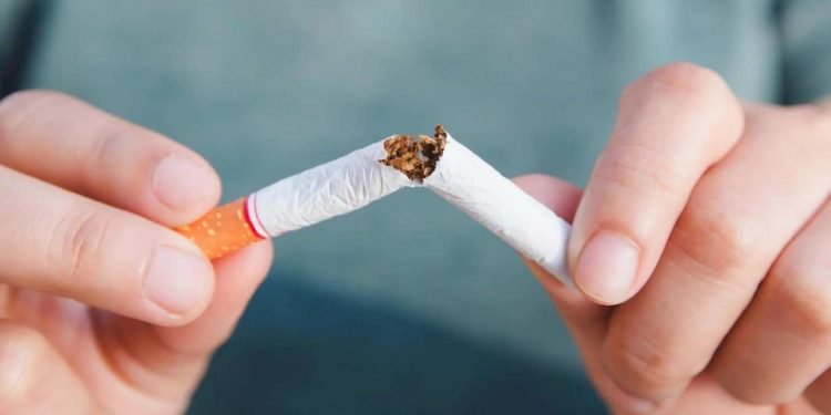 CBD zur Rauchentwöhnung: Kann CBD-Öl dir beim Aufhören des Rauchens helfen? 16 CBD zur Rauchentwöhnung