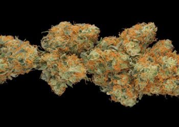 Die Faszination der Hindu Kush