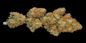 Die Faszination der Hindu Kush