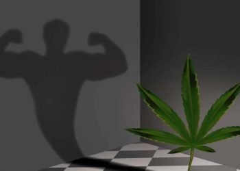 Fördert CBD den Muskelaufbau? Die vielversprechende Verbindung für Athleten