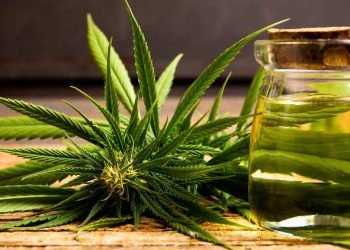 CBD Öl Wie ihr eure Gesundheit mit natürlichem CBD Öl unterstützen könnt