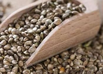 Hanf in Lebensmitteln