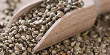 Hanf in Lebensmitteln