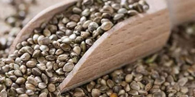 Hanf in Lebensmitteln 16 Hanf in Lebensmitteln