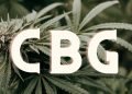 Ist CBG das neue CBD? Der Unterschied erklärt 19 Ist CBG das neue CBD