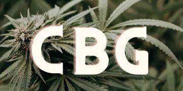 Ist CBG das neue CBD