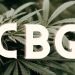 Ist CBG das neue CBD? Der Unterschied erklärt 17 Ist CBG das neue CBD