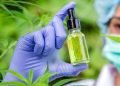 Natürliche Qualität: Die Bedeutung von zertifizierten CBD-Produkten 19 Natürliche Qualität