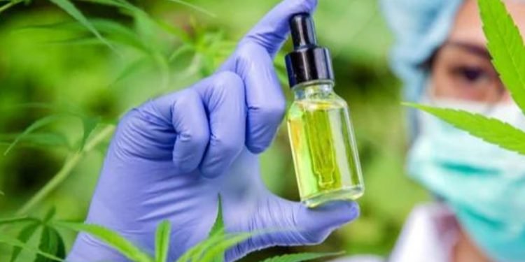 Natürliche Qualität: Die Bedeutung von zertifizierten CBD-Produkten 16 Natürliche Qualität