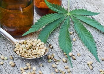 Warum ist CBD so beliebt