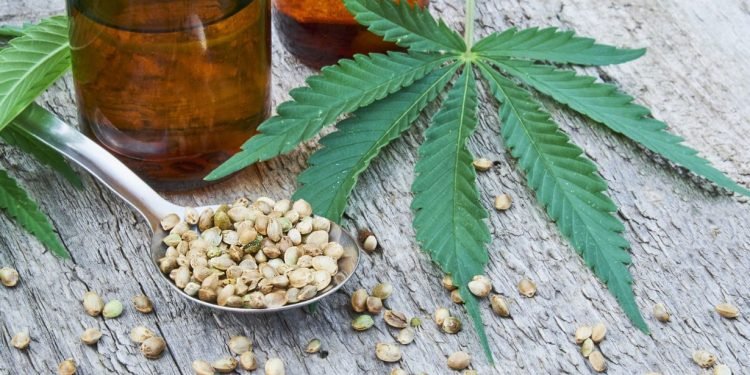 Warum ist CBD so beliebt? 16 Warum ist CBD so beliebt