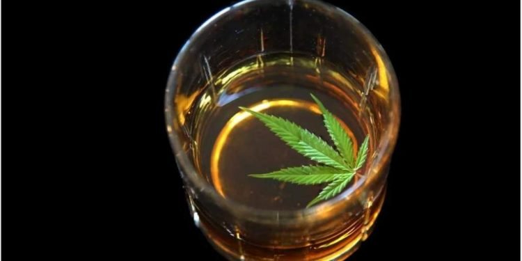 Wie wirkt CBD in Kombination mit Alkohol? 16 Wie wirkt CBD in Kombination mit Alkohol?