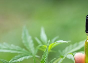 CBD Öl - Morgens oder abends einnehmen