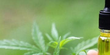 CBD Öl - Morgens oder abends einnehmen