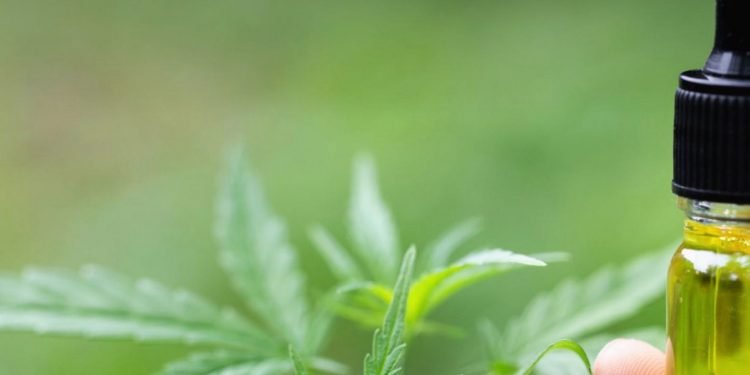 CBD Öl - Morgens oder abends einnehmen? 16 CBD Öl - Morgens oder abends einnehmen