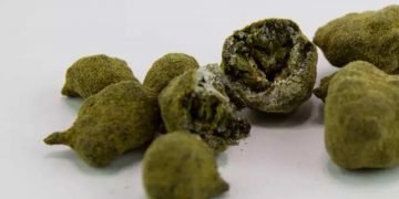 Moonrocks – Die Mischung aus CBD Blüten und Pollen