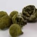 Moonrocks – Die Mischung aus CBD Blüten und Pollen 17 Moonrocks – Die Mischung aus CBD Blüten und Pollen