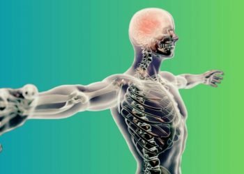 Unterstützung des Endocannabinoid-Systems