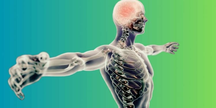 Unterstützung des Endocannabinoid-Systems: Die Rolle von CBD 16 Unterstützung des Endocannabinoid-Systems