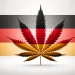 Cannabis Legalisierung in Deutschland: Ein Überblick 18 Cannabis Legalisierung
