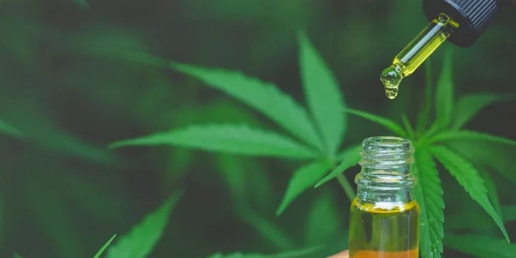 Hochwertige CBD Blumen und Öle – Nur bei Fortune Flavours 16 CBD Blumen