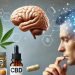 5 Wege, wie CBD heute für einen klaren Kopf sorgt 18 Ein Foto, das die Vorteile von CBD für geistige Klarheit und Fokussierung darstellt. Zu sehen sind CBD-Öl, Kapseln und Edibles, die ordentlich angeordnet sind. Eine entspannte Person in einer ruhigen Umgebung suggeriert Stressabbau und verbesserte Fokussierung. Visuelle Symbole wie ein Gehirn-Icon oder Neuronen repräsentieren kognitive Vorteile. Das Setting ist sauber und minimalistisch, mit einem neutralen Hintergrund, um den Fokus auf das Thema zu lenken. Kein Text ist im Bild.