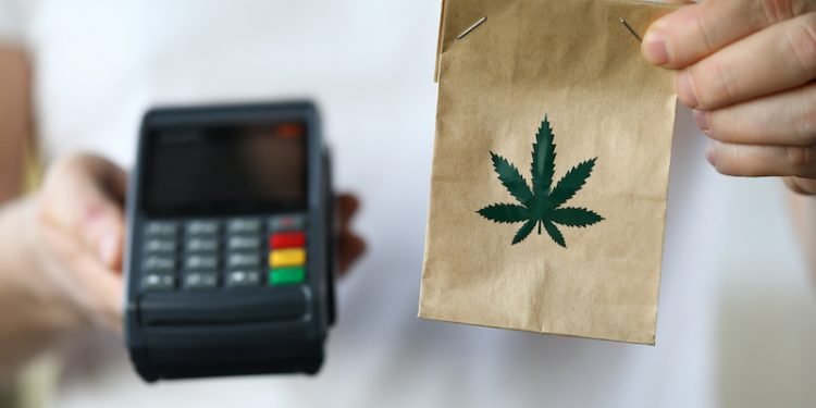 Kaufen Cannabis: Was Sie beim Online-Kauf beachten sollten 16 Kaufen Cannabis