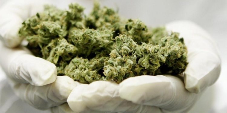 100g CBD Blüten kaufen: Qualität und Vielfalt im Überblick 16 100g CBD