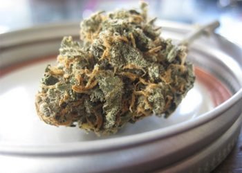 HHC Blüten aus Deutschland – Frisch und Effektiv